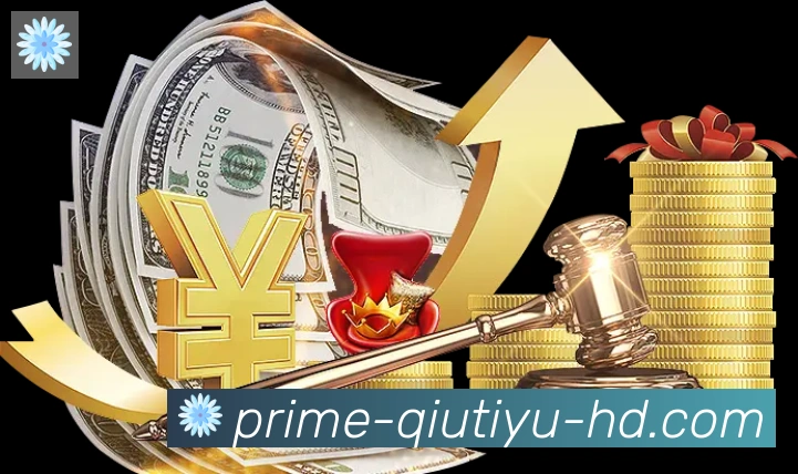 未来规划